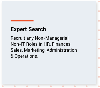 Expert Search